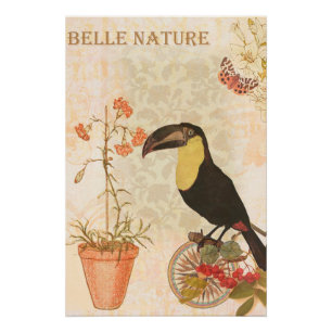 Modern Vintage Bird Pink Flower Butterfly Poster