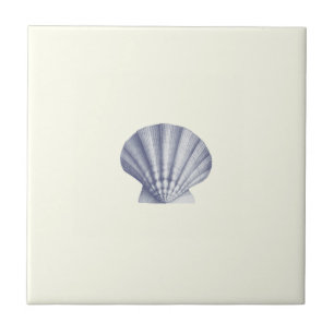 Modern Vintage Blue Sea Shell on Ivory Tile
