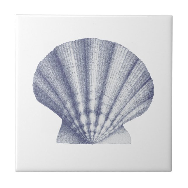 Modern Vintage Blue Sea Shell Tile (Front)