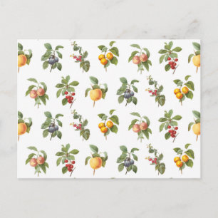 modern vintage botanical fruits postcard