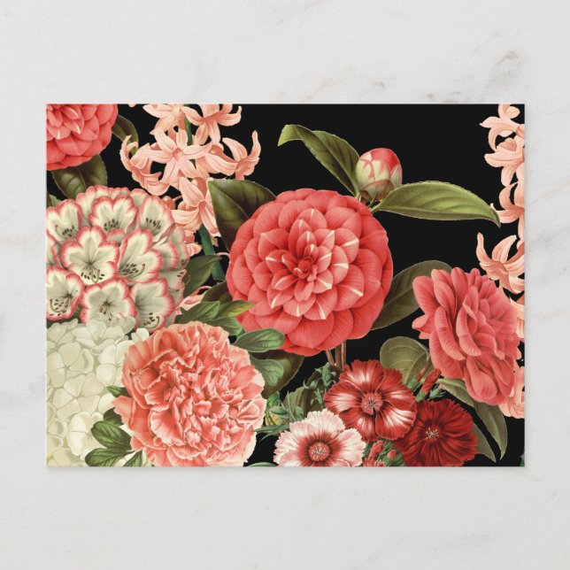 modern vintage botanical pink flowers postcard (Front)