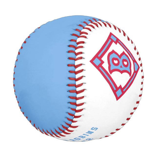 Modern Vintage Brooklyn Robins Tribute Baseball (Angled)