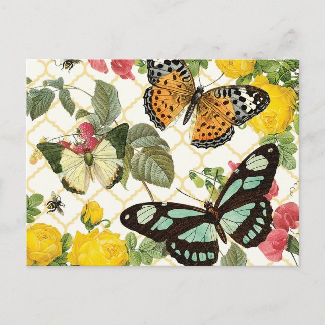 modern vintage butterfly garden postcard (Front)