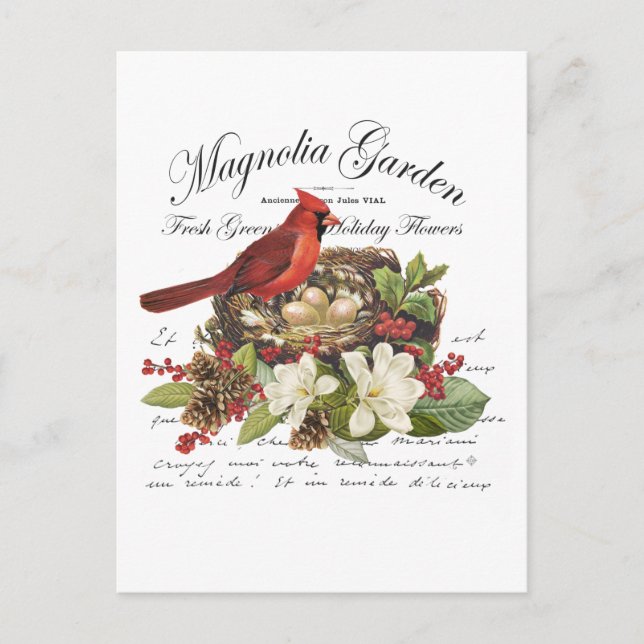 Modern Vintage Christmas Cardinal Postcard (Front)