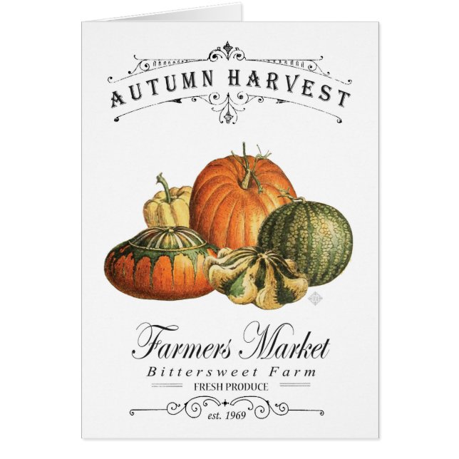 modern vintage fall gourds and pumpkin (Front)