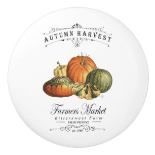 modern vintage fall gourds and pumpkin ceramic knob