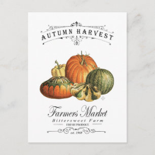 modern vintage fall gourds and pumpkin postcard