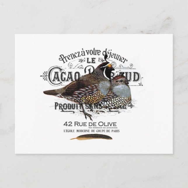 modern vintage fall quail postcard (Front)