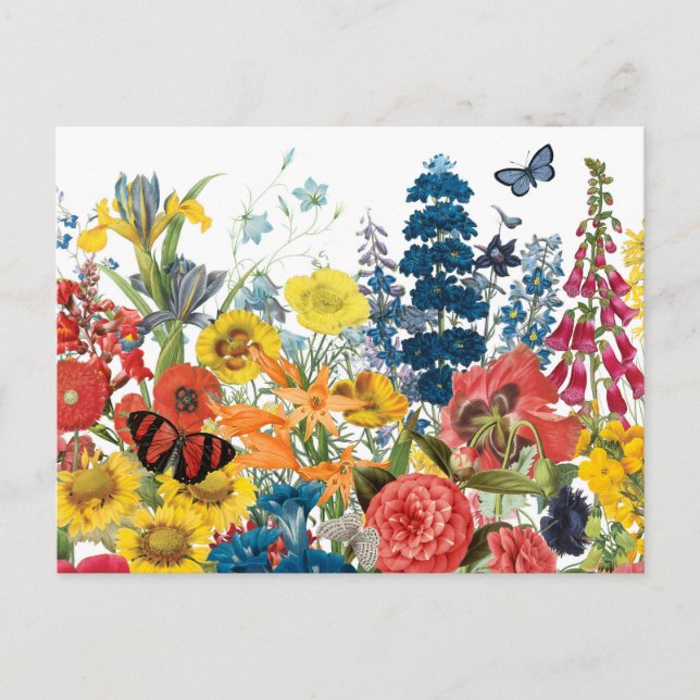 modern vintage flowers postcard (Front)