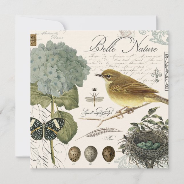 modern vintage French bird and nest (Front)