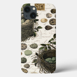 Modern Vintage French bird nests and eggs iPhone 13 Case