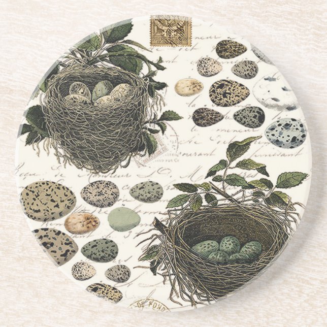 Modern Vintage French bird nests and eggs Coaster (Front)