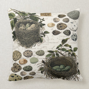 Modern Vintage French bird nests and eggs Cushion