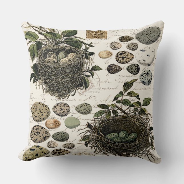 Modern Vintage French bird nests and eggs Cushion (Front)