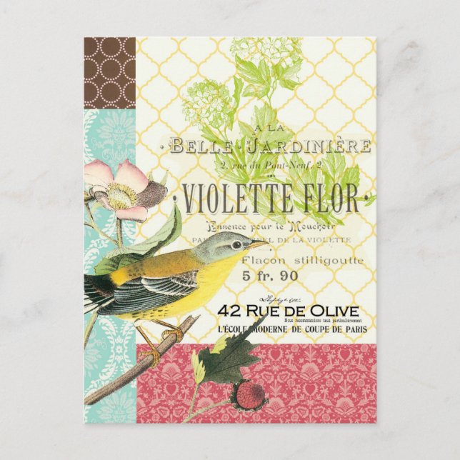 Modern vintage french bird postcard (Front)