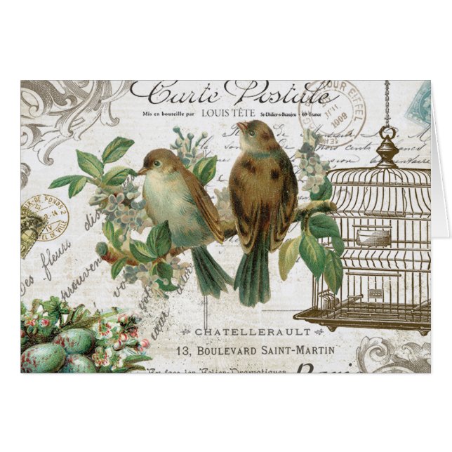 Modern Vintage French birds and birdcage (Front Horizontal)