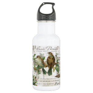 Modern Vintage French birds and birdcage 532 Ml Water Bottle