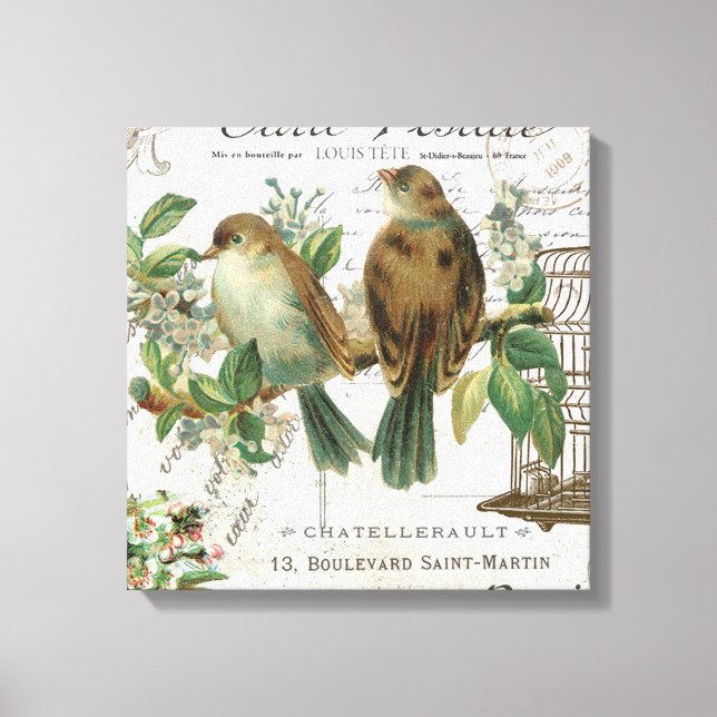 Modern Vintage French birds and birdcage Canvas Print (Front)