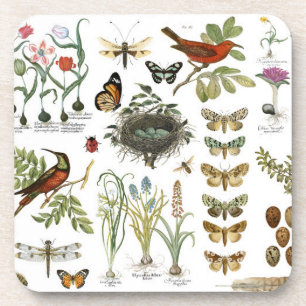 modern vintage french botanical birds and flowers coaster