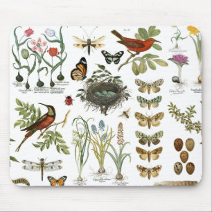 modern vintage french botanical birds and flowers mouse mat