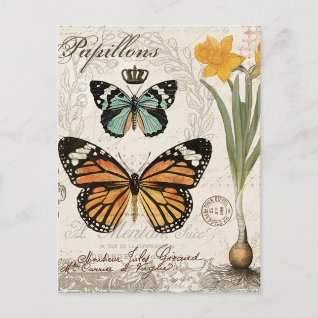Modern vintage french butterflies postcard (Front)