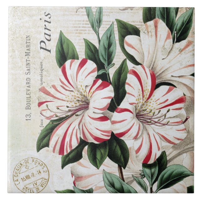 modern vintage french christmas amarylis tile (Front)