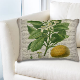 modern vintage french country botanical art orange decorative cushion