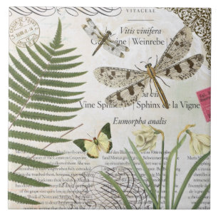 modern vintage french dragonfly tile