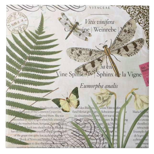 modern vintage french dragonfly tile (Front)