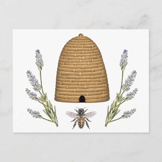 Modern vintage french farmhouse bee postcard (Front)