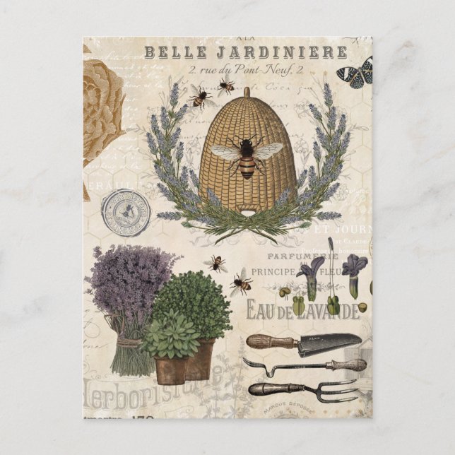 Modern Vintage French Farmhouse Bee Postcard (Front)