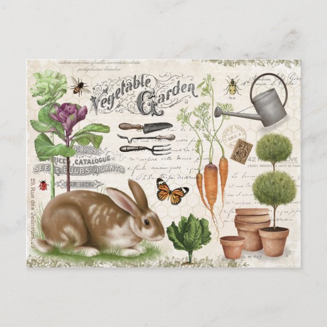 Modern Vintage French Farmhouse Garden Rabbit Postcard (Front)