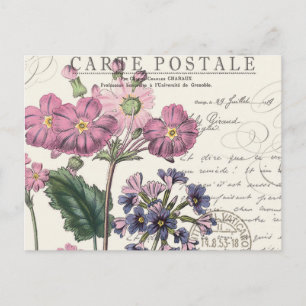 modern vintage french floral postcard