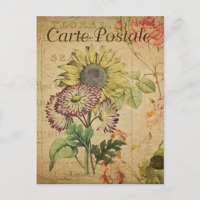 Modern Vintage French flowers collage Postcard (Front)