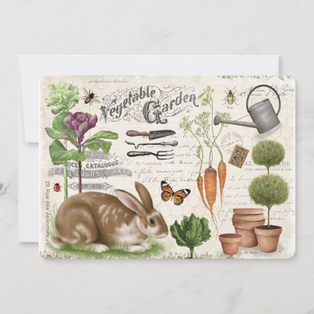 Modern Vintage French Garden Rabbit Invitation (Front)
