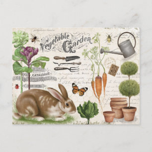 Modern Vintage French Garden Rabbit Postcard