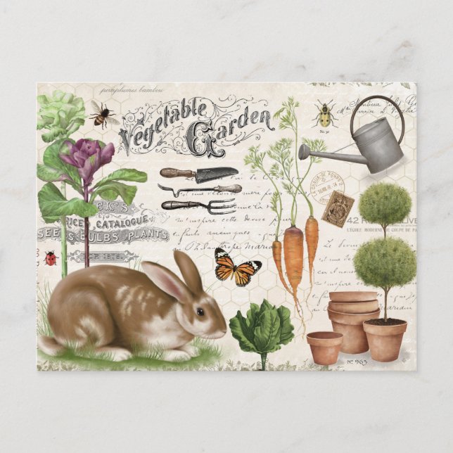 Modern Vintage French Garden Rabbit Postcard (Front)