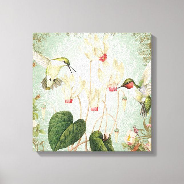 Modern Vintage French Hummingbirds Canvas Print (Front)