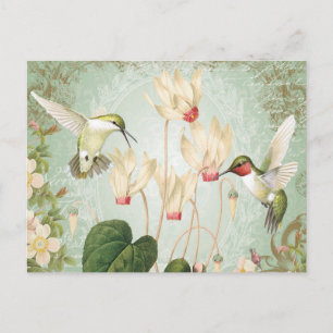 Modern Vintage French Hummingbirds Postcard
