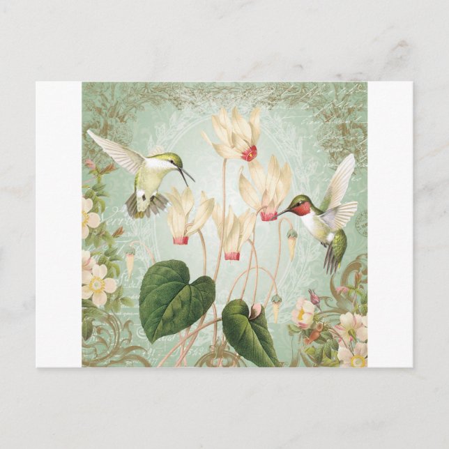 Modern Vintage French Hummingbirds Postcard (Front)