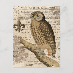modern vintage french owl postcard