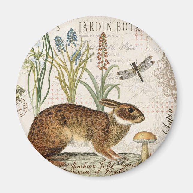modern vintage french rabbit in the garden magnet (Front)