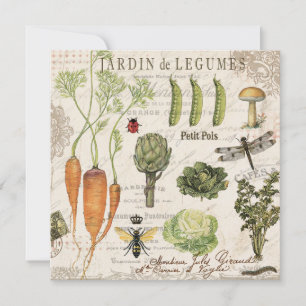 modern vintage french vegetable garden