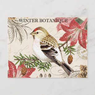 modern vintage french winter bird postcard