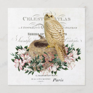 modern vintage French winter owl Invitation