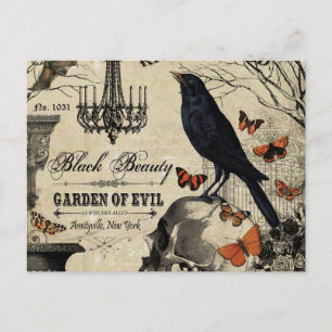 modern vintage halloween crow and skull postcard