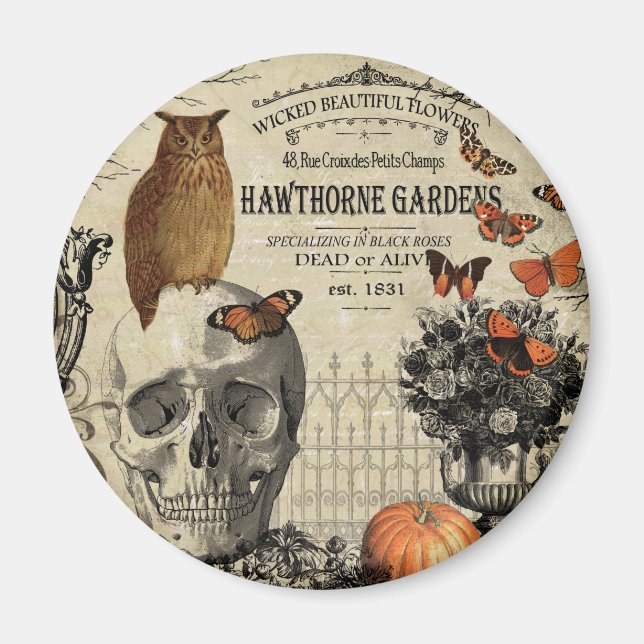 Modern vintage Halloween owl and skull Magnet (Front)