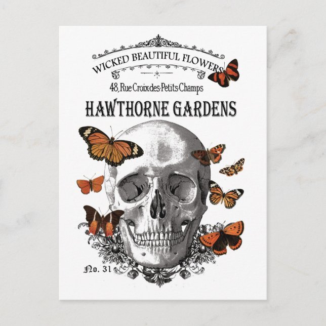 modern vintage Halloween skull and butterflies Postcard (Front)