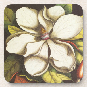 modern vintage magnolia coaster