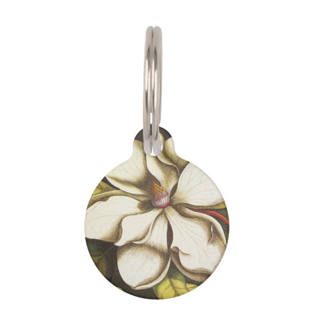 modern vintage magnolia pet tag (Front)